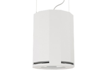 CVGAUDIO SUBone model DH-8W подвесной сабвуфер, мощность 150W/300W