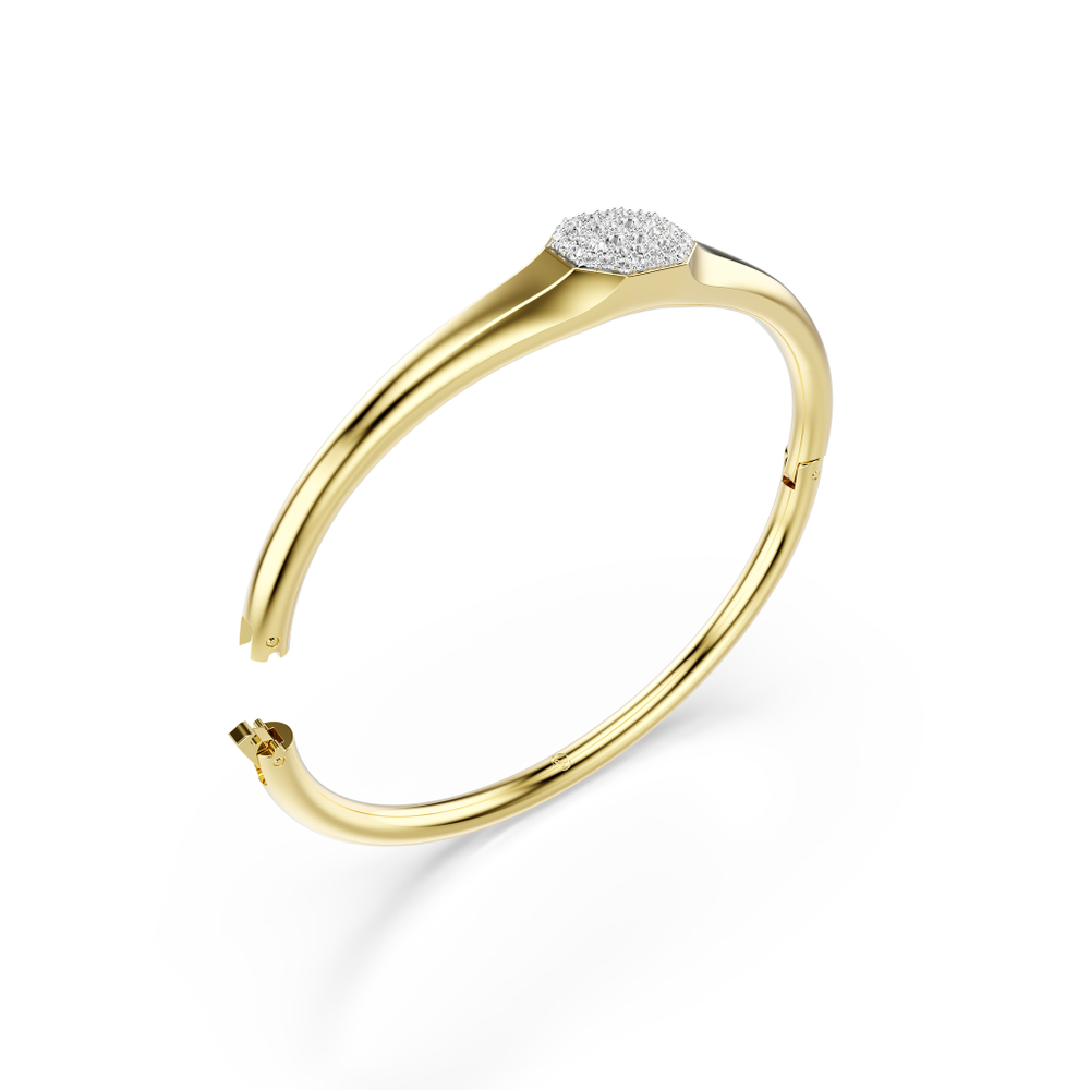 DEXTERA:BANGLE TAG CRE/GOS L