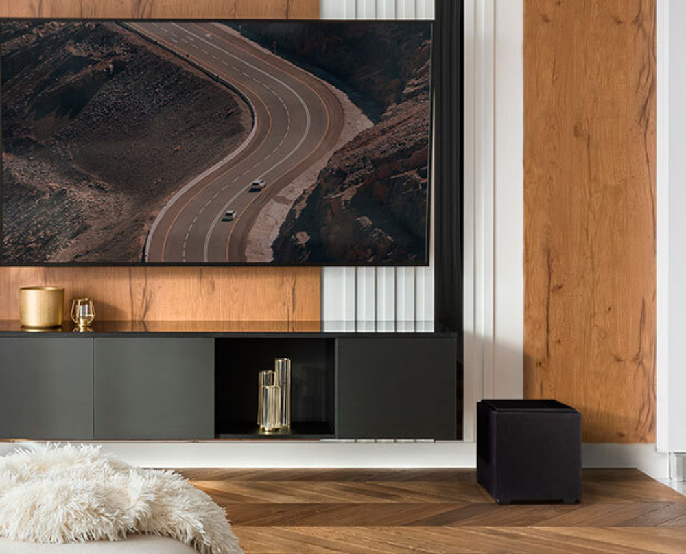 Definitive Technology Descend DN8