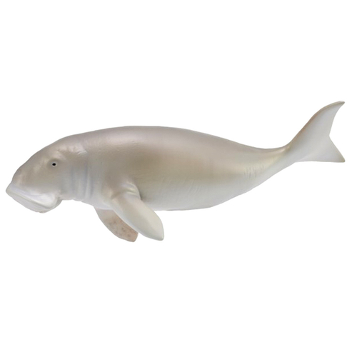 Дюгонь, большая