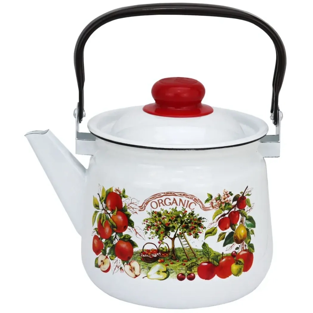 Чайник эмалированный 2,5л «Organic» 01-2711/4