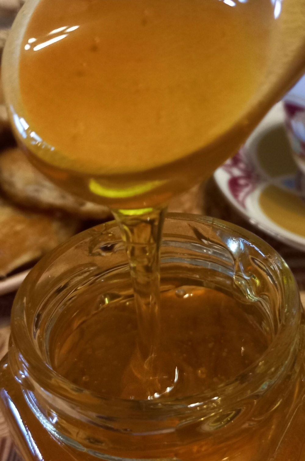 Лесной разнотравный мёд