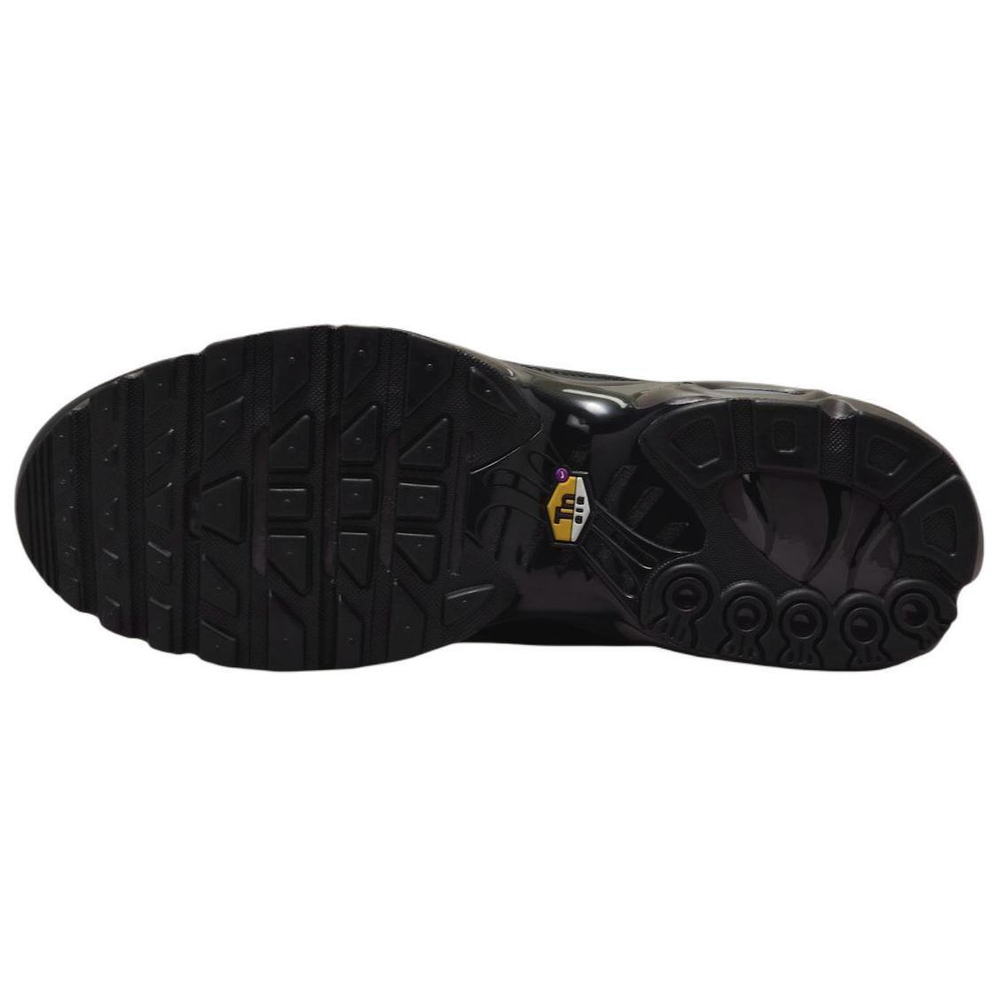 Кроссовки Nike Air Max Plus Black Tea