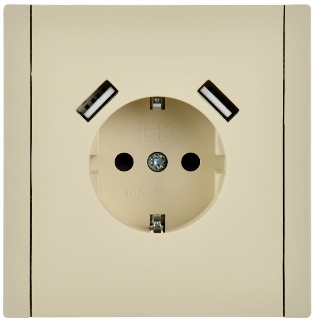 Розетка с заземлением с 2 USB  IEK FP-R14-16-U22-018-K10