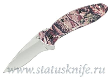 Нож Kershaw 1620C Scallion