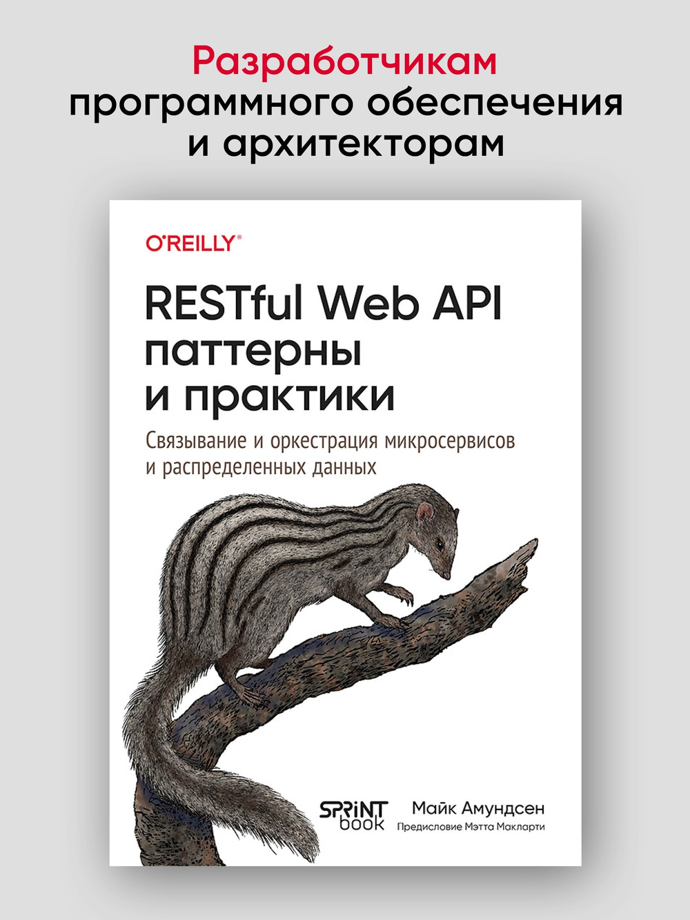 RESTful Web API паттерны и практики