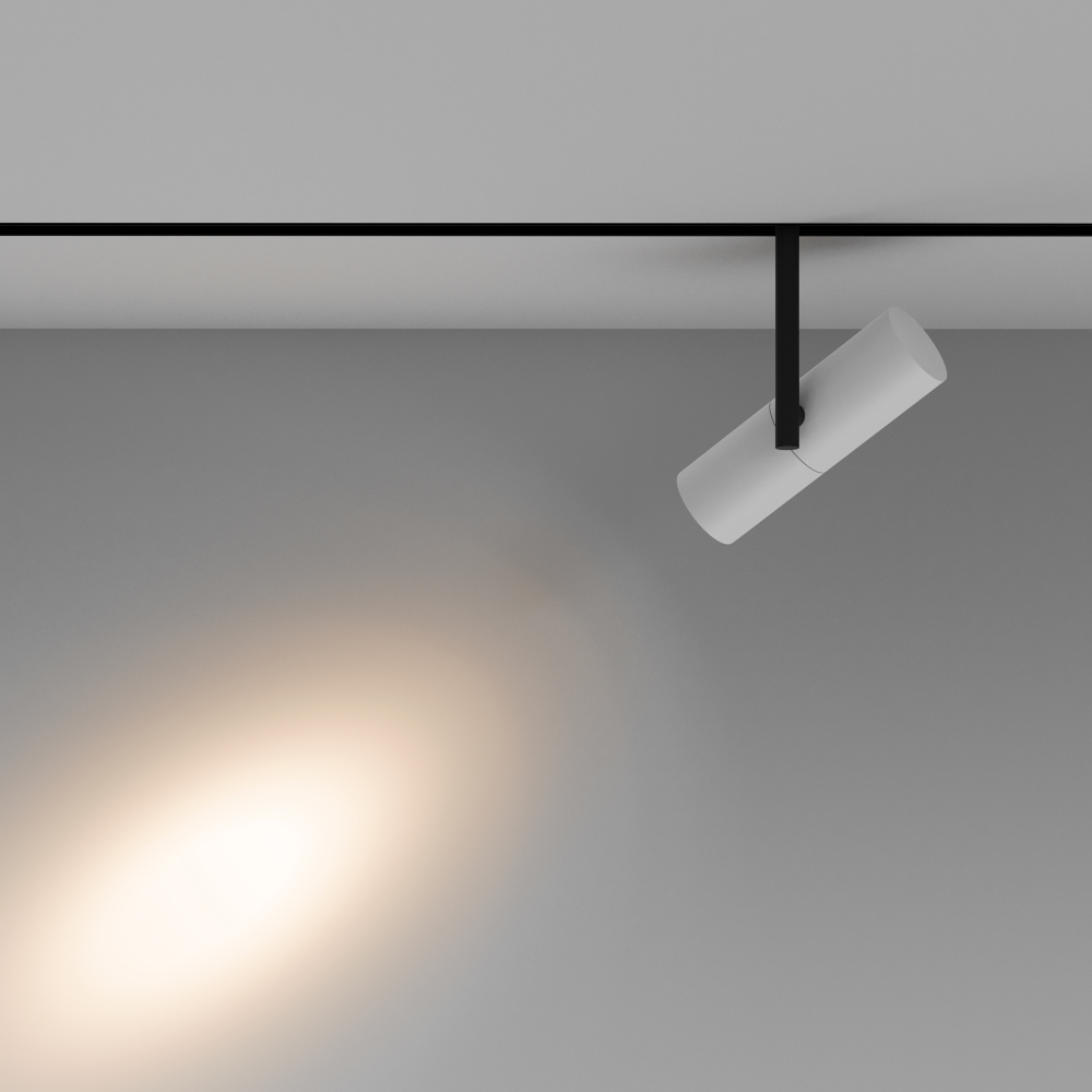 Магнитный трековый светильник Maytoni Elti TR005-2-12W3K-BW