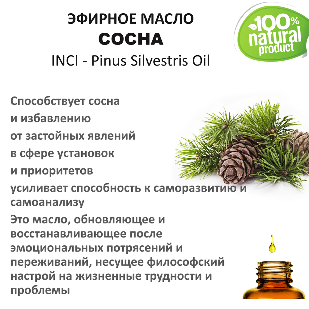 Эфирное масло сосны / Pinus Silvestris Oil