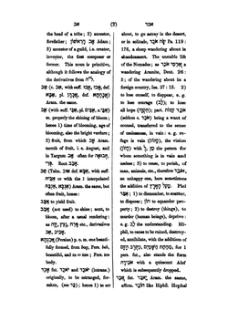 Hebrew and English Dictionary, Biblical and Rabbinical | Marcus Heinrich Bresslau