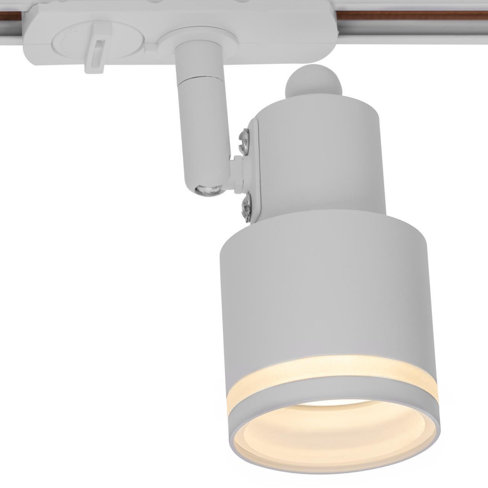 Однофазный трековый светильник Citilux Bruno CL565T10