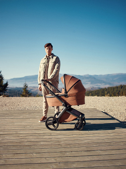 Детская коляска Anex l/type 3 в 1 Hazel