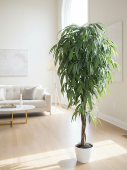 Искусственное дерево Фикус Лонгифолия 170см в кашпо