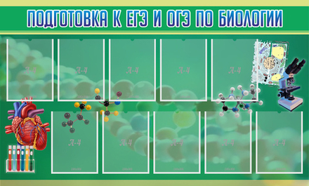 &nbsp;Стенд "Подготовка к ЕГЭ и ОГЭ по биологии" 1.5x0.9 м