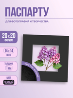 Паспарту 20х20 см чёрный арт.1097982020