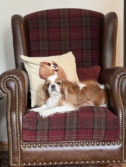 Кресло "Корнер Рэд"