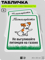 Табличка для частной территории "Пожалуйста, не выгуливайте питомцев на газоне", на дом, для участка, организаций и частных территорий, предупреждающая, 40х30 см, Silver Plane x Айдентика Технолоджи