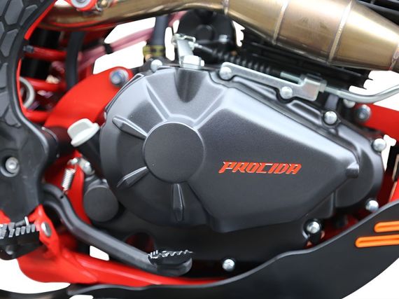 Мотоцикл PROCIDA PR300 ENDURO