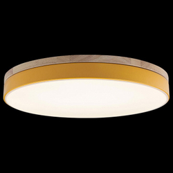 Накладной светильник Loft it 10001/36 Yellow
