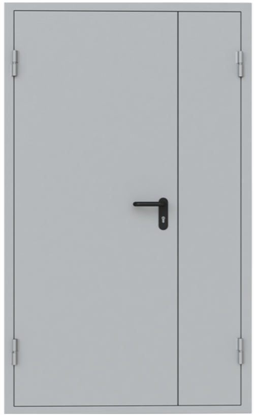 Противопожарная дверь EI-60 Светло-серая, RAL 7035 (двупольная)