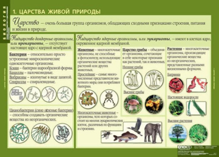 Общее знакомство с цветковыми растениями