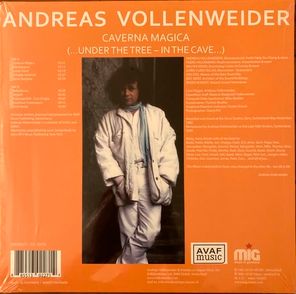 Andreas Vollenweider / Caverna Magica (...Under The Tree - In The Cave...)(LP)