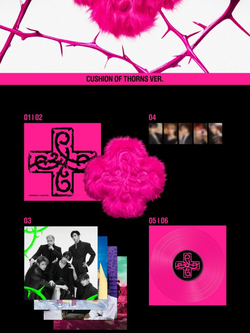 Альбом TXT - 7TH YEAR : Album CUSHION OF THORNS Version