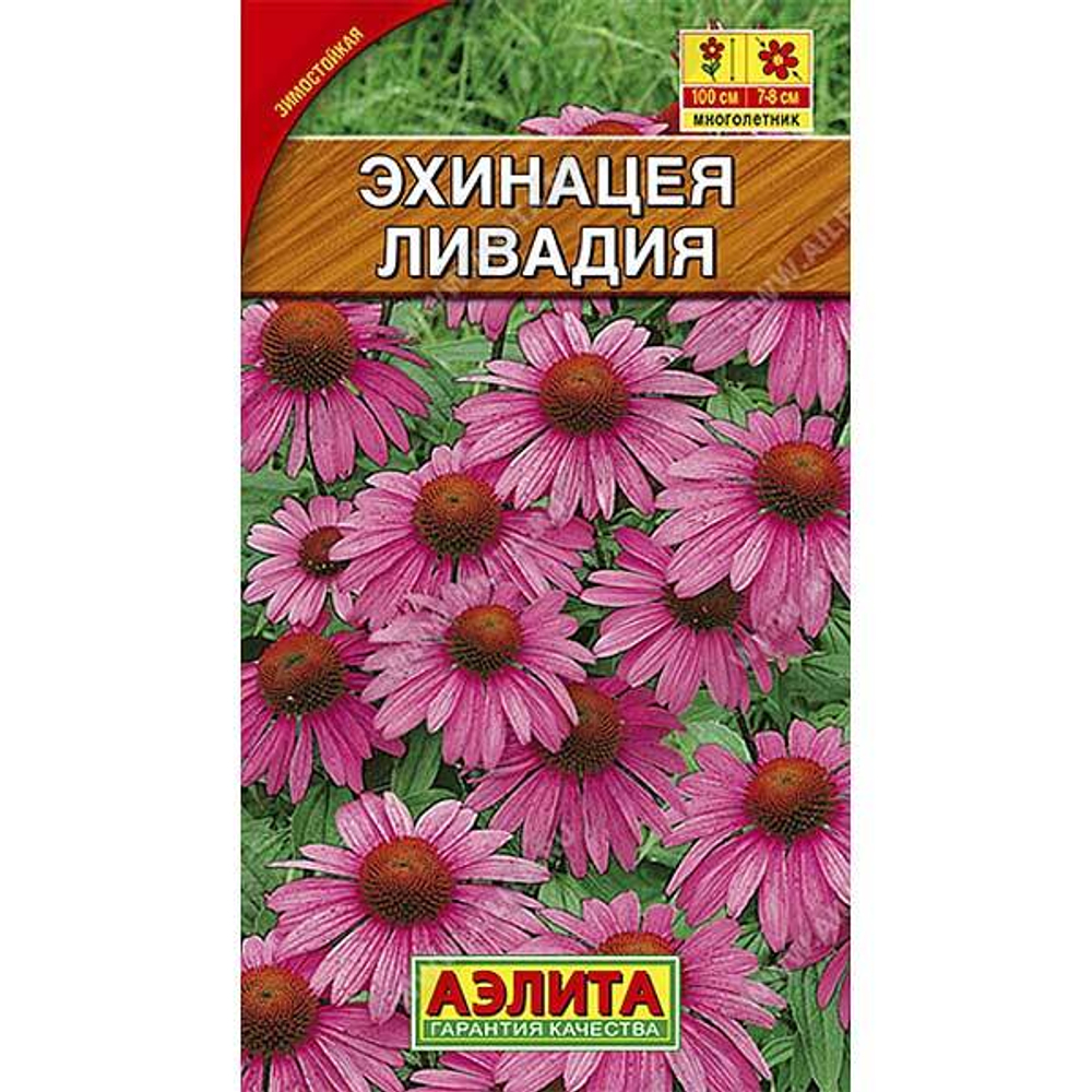 Эхинацея Ливадия пурпурная 0.3г