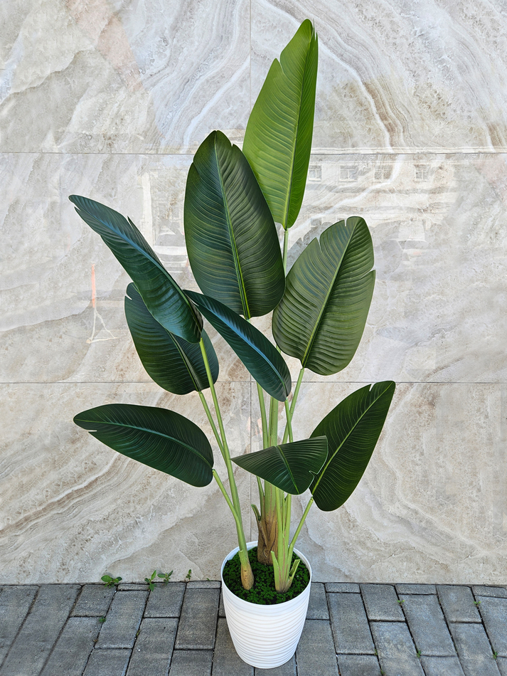 Искусственная стрелиция королевская — декоративное искусственное растение для офиса и интерьера