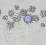 Дизайнерские обои Factura ARTICHOKE