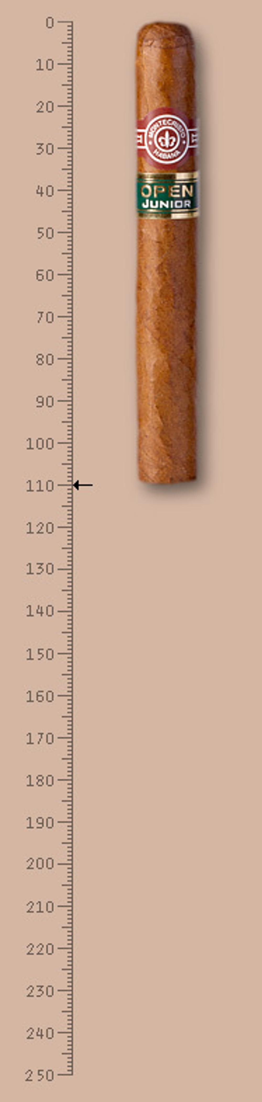 Montecristo Open Junior