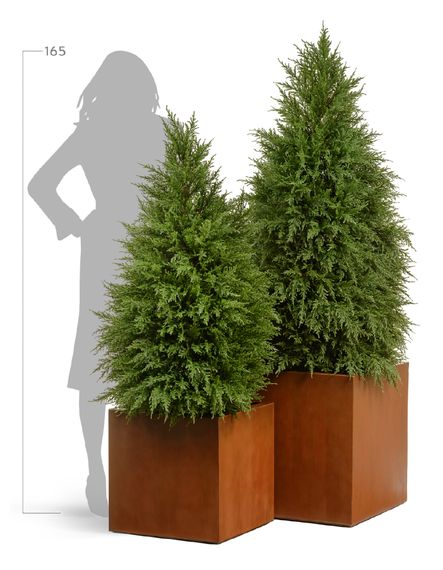Кашпо TREEZ Effectory - серия Corten Steel - Куб - Кортеновская сталь - Бархатистая окись