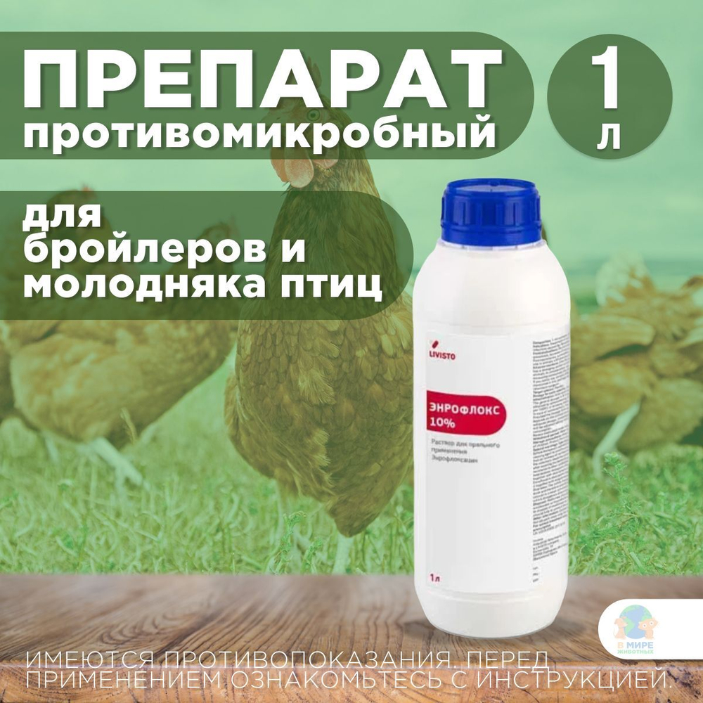 Энрофлокс 10%, раствор для орального применения молодняку птиц и бройлерам, 1 л. Энрофлоксацин.