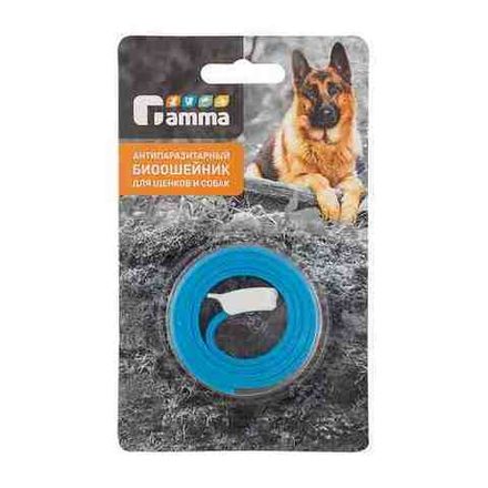 Ошейники, шлейки, намордники