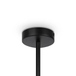 Люстра на штанге Maytoni MEMORY MOD177PL-04B