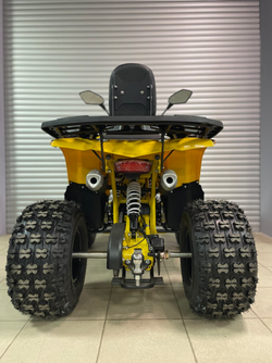 Квадроцикл PROMAX WILD 2.0 190 PRO (2025)