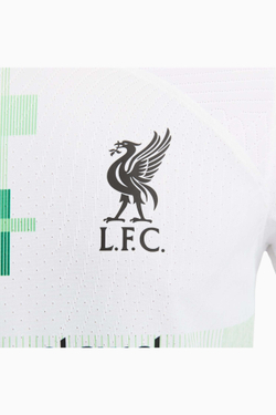 Футболка Nike Liverpool FC 23/24 Away Vapor Match