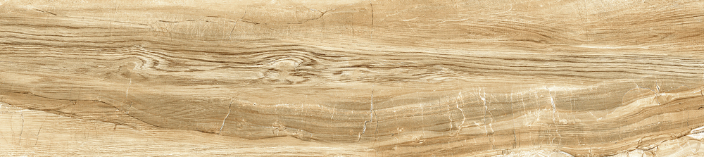 Вандервуд / Wonderwood