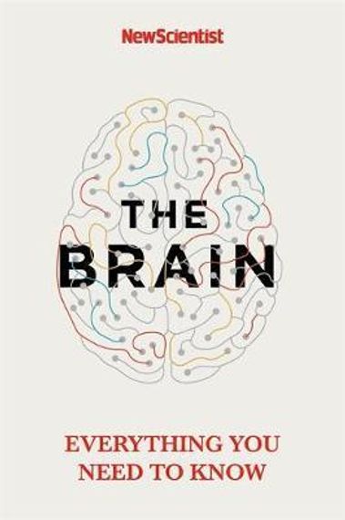 The Brain: Everything You Need To Know