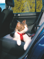 Шлейка Trixie "Car Harness", для кошек, нейлоновая, для автомобилей, размер 20-50см