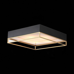 Накладной светильник ST-Luce SL1127.422.05