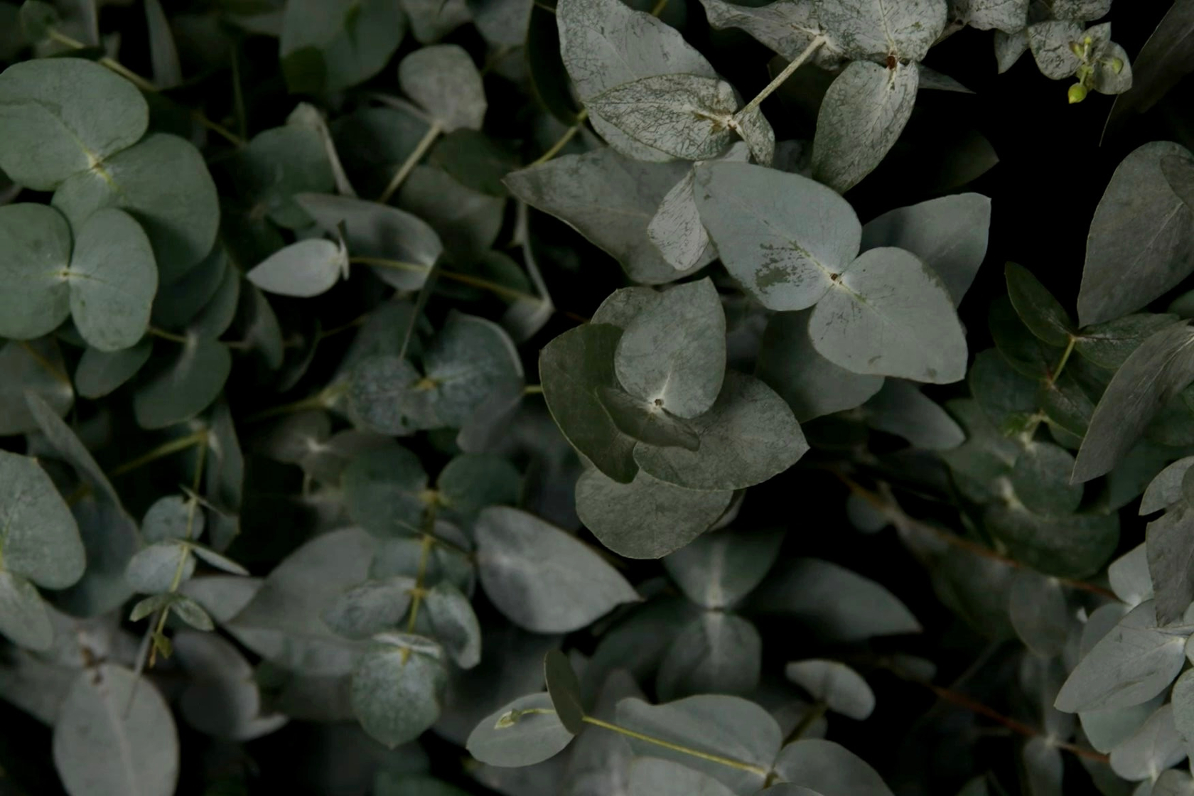 Ландшафтное строительство и дизайн