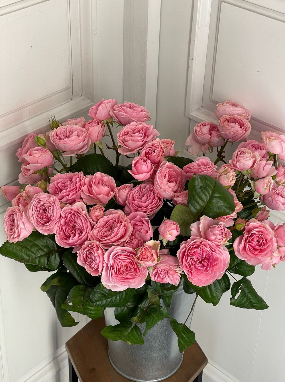 Пионовидная кустовая роза сорт ФАТАЛ