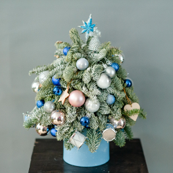 Новогодняя композиция из нобилиса 3