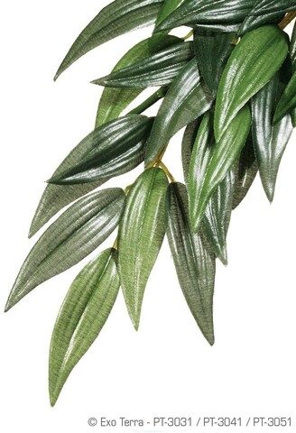 H230513 Тропическое растение EX Jungle Plants пластиковое Рускус большое 70х20см PT3051