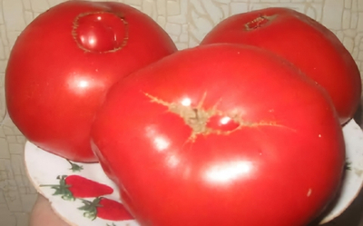 МАМИНА ЛЮБОВЬ