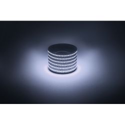 Светодиодная лента ЭРА LS2835-19,2-240-12-6500K-IP20-1 year-5m холодный белый 1 год