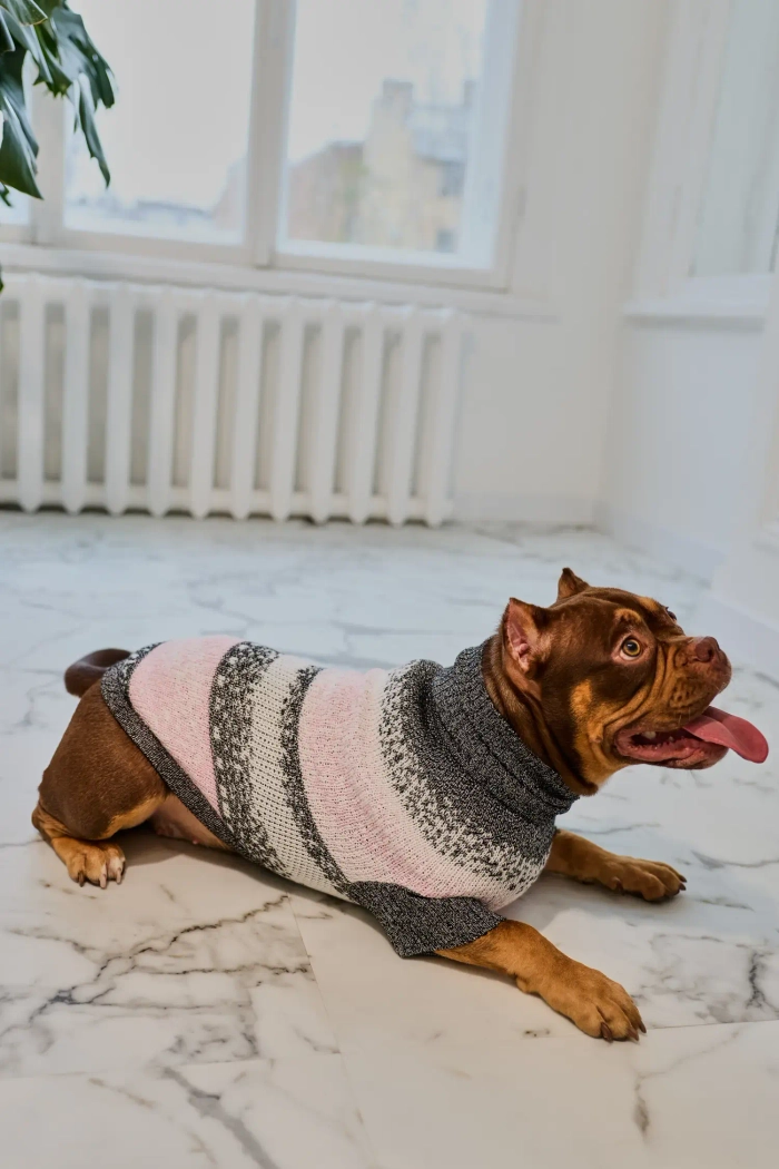 Для собачки