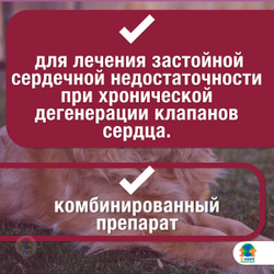 Кардалис, Ceva, 2,5 мг/20 мг, таблетки для лечения общей сердечной недостаточности, 30 шт. Беназеприл.