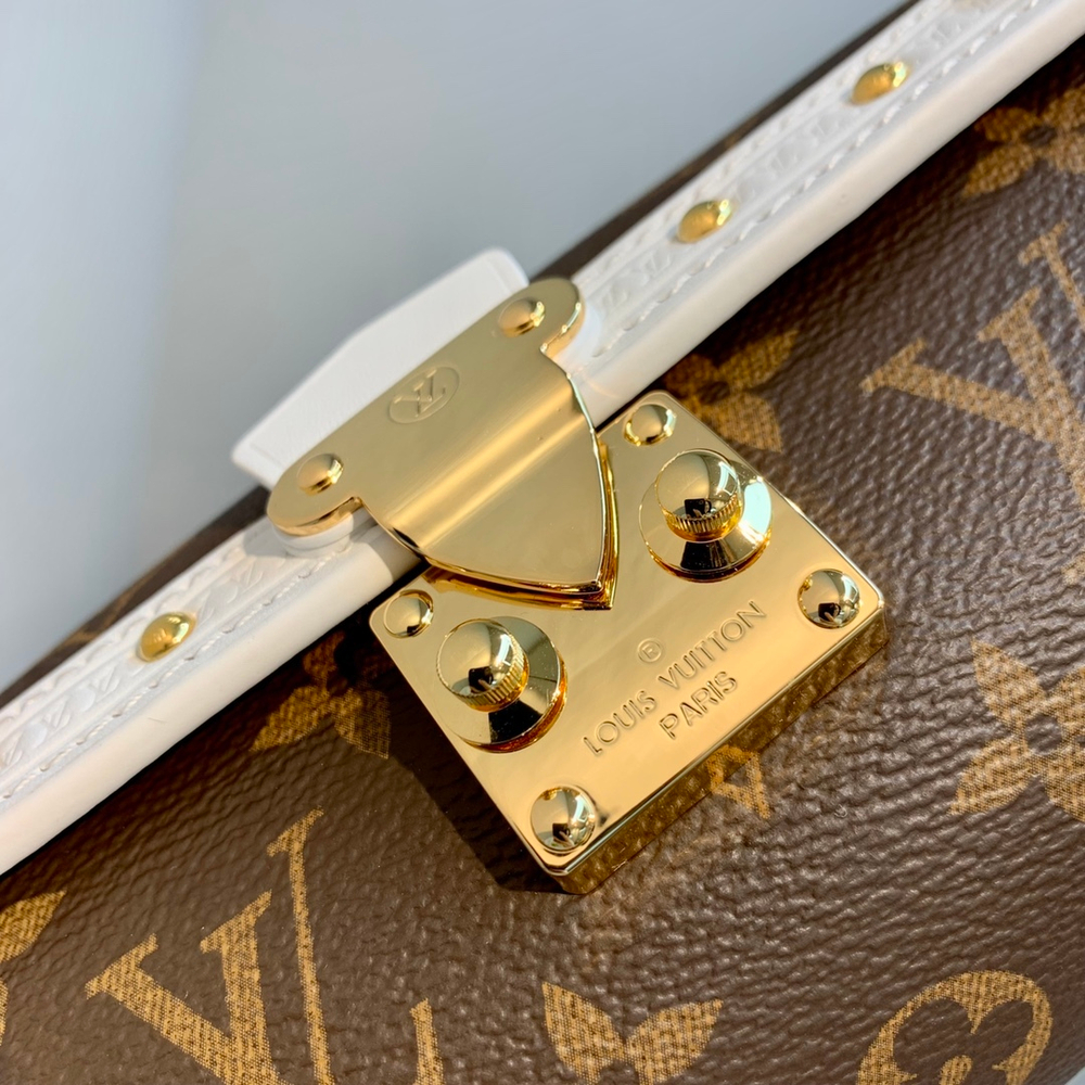 Louis Vuitton Papillon Trunk