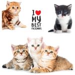 Тетрадь 48л, А5, линия, Спейс Pets